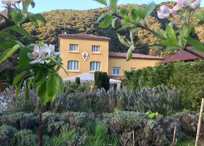 Rose des Pyrénées
